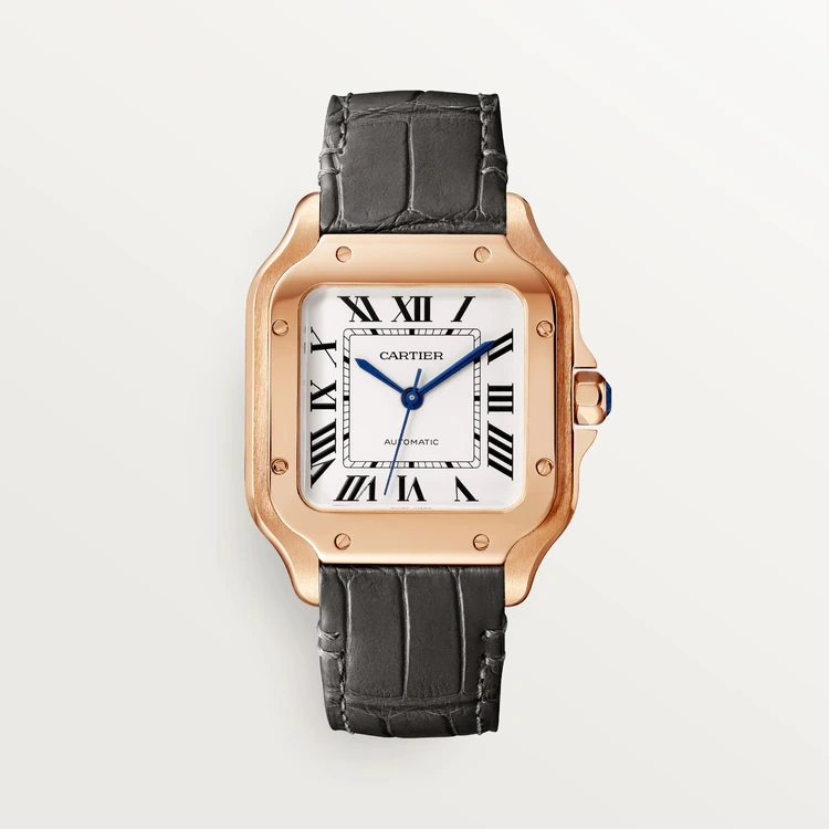 a36c0c870b9fee44e1e6a0733cb288c5.webp SANTOS DE CARTIER WATCH -WGSA0028 - 图片 1