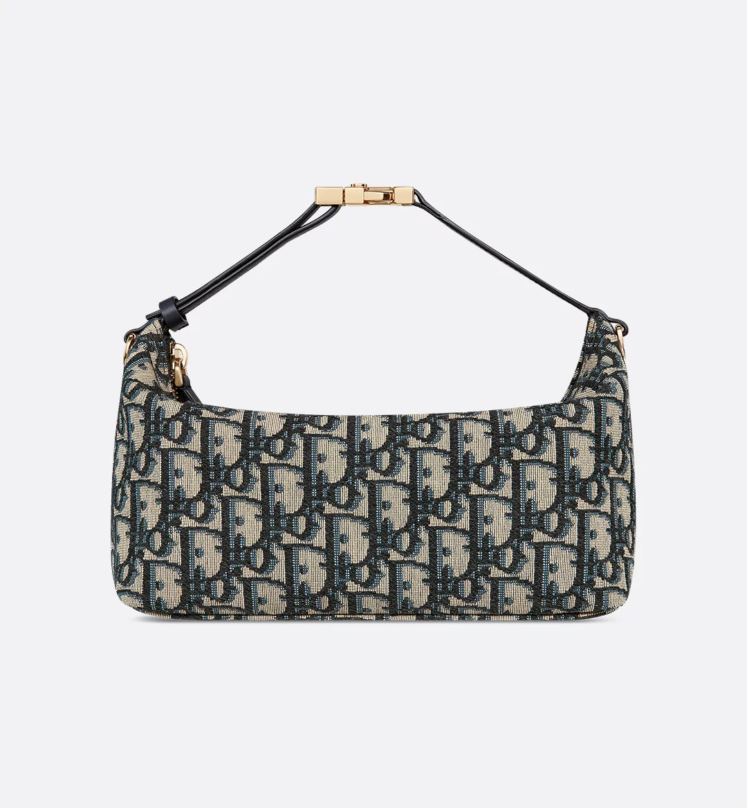 Medium DiorTravel Nomad Pouch